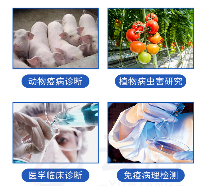 動物疫病檢測儀的檢測范圍有哪些？