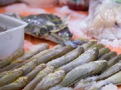 南昌市開展2019年水產(chǎn)品獸藥殘留專項(xiàng)整治行動