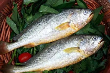 黑魚中檢測(cè)出孔雀石綠超標(biāo)，黃魚中檢測(cè)出氧氟沙星超標(biāo)