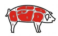 病害肉檢測(cè)儀讓老百姓吃上放心肉！