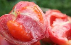 為何建議超市配備食品安全檢測(cè)儀？